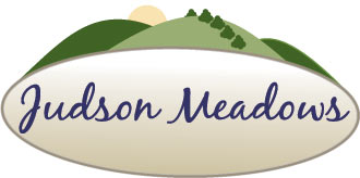 Judson Meadows